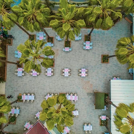 Bieno Venues 4*
